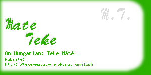 mate teke business card